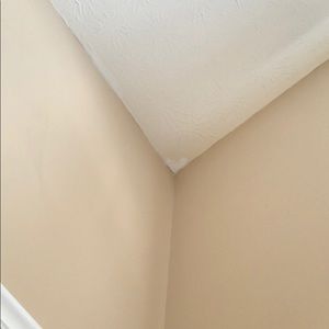 Meet your Posher, Shelby